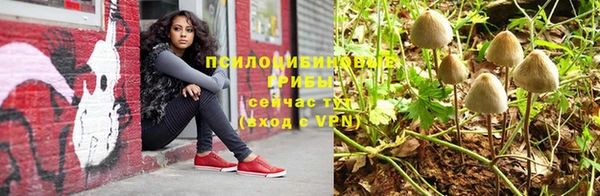 бошки Зеленодольск